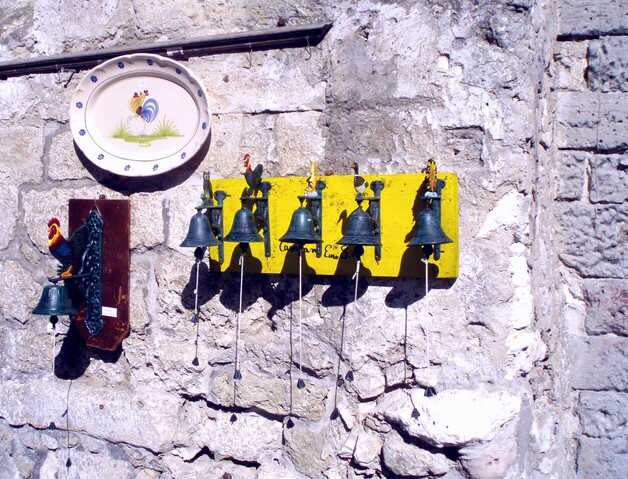 254.jpg